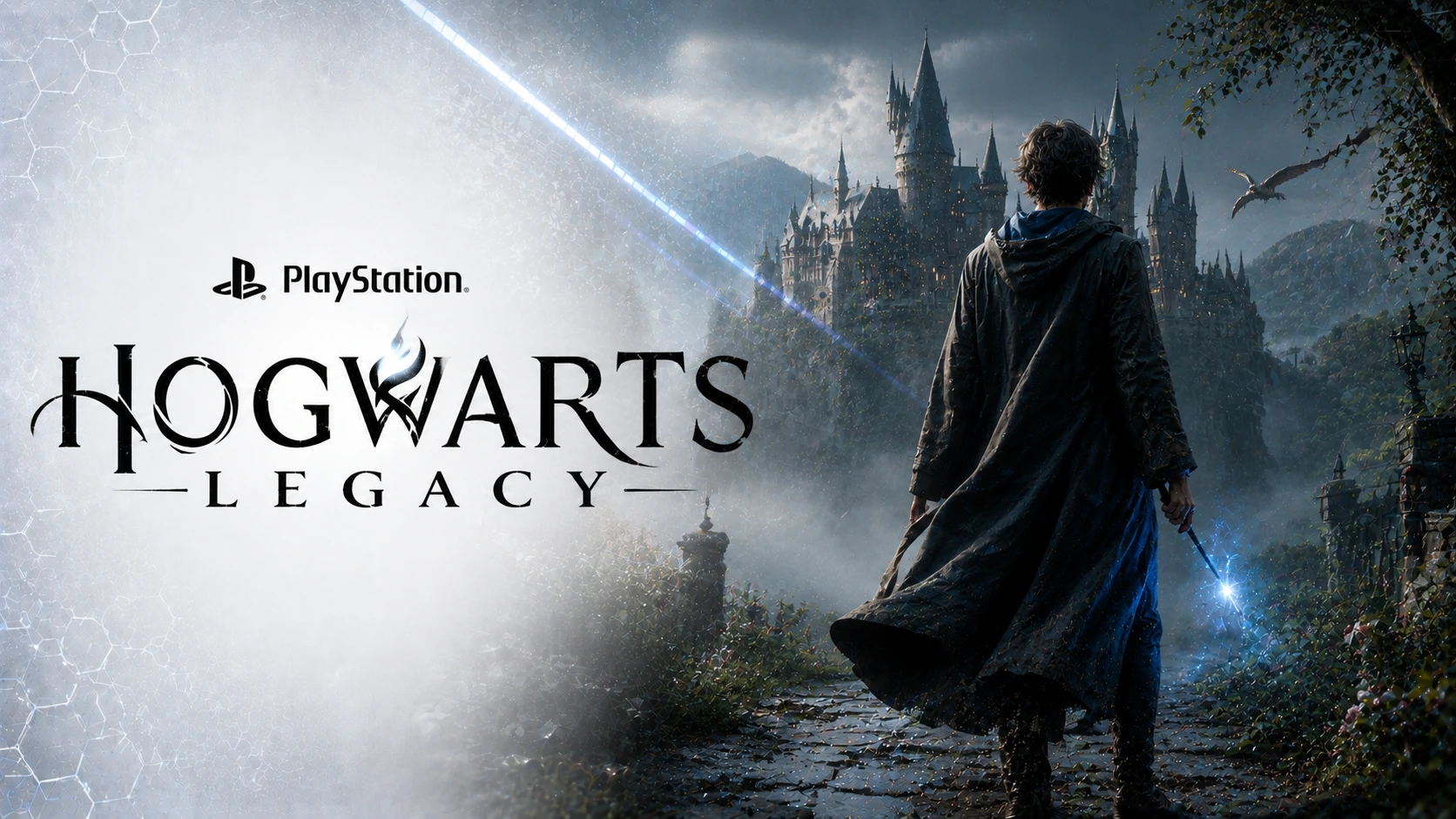 Hogwarts Legacy PSN Hesab