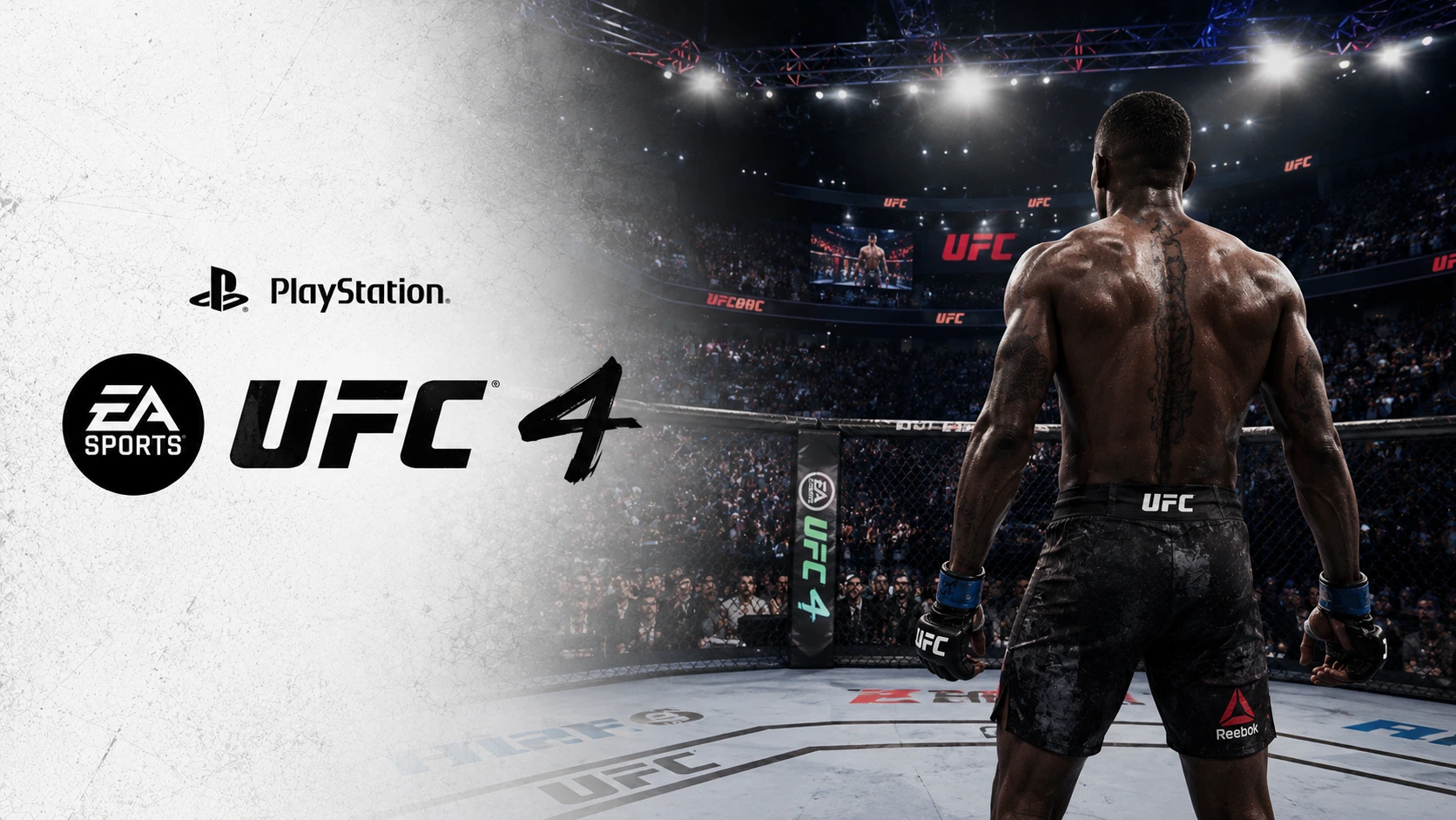 UFC 4